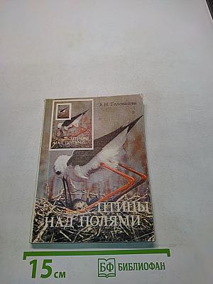 Птицы над полями