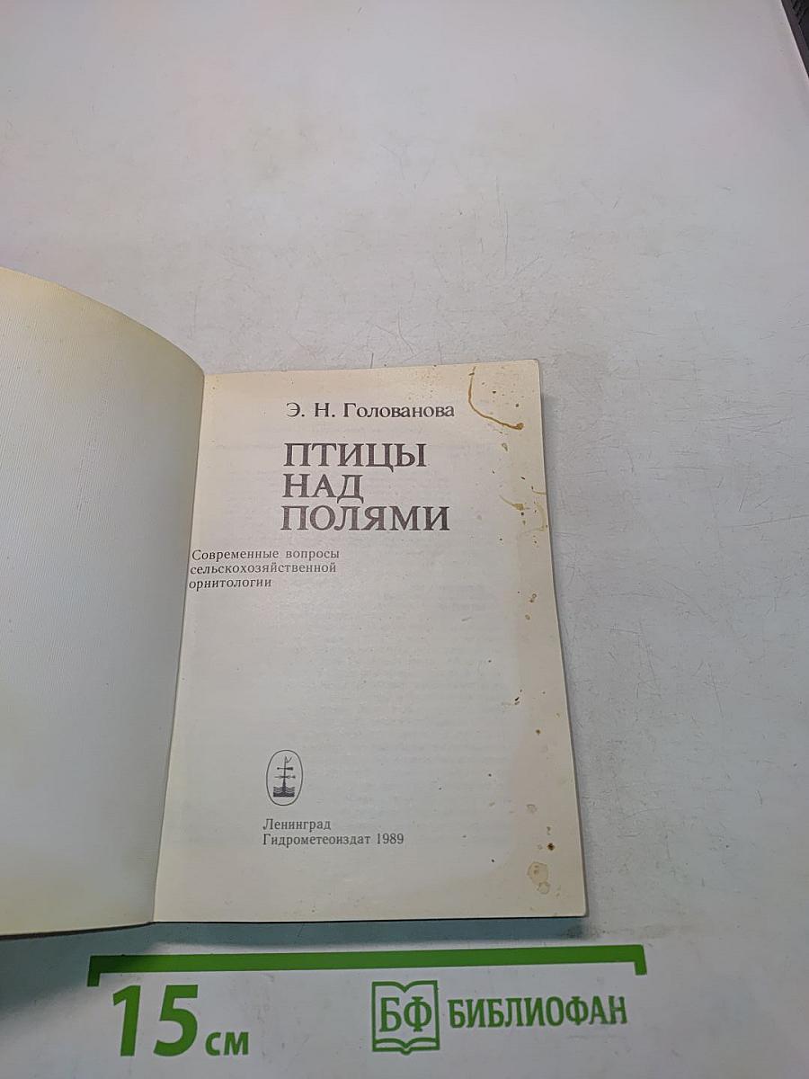 Птицы над полями