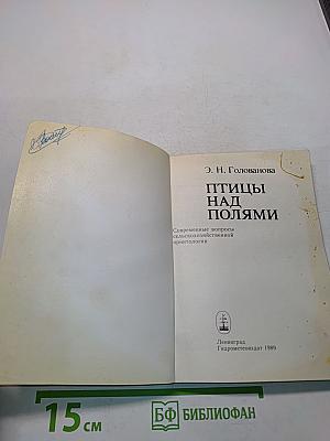 Птицы над полями
