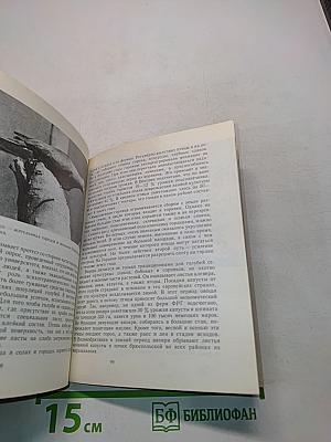 Птицы над полями