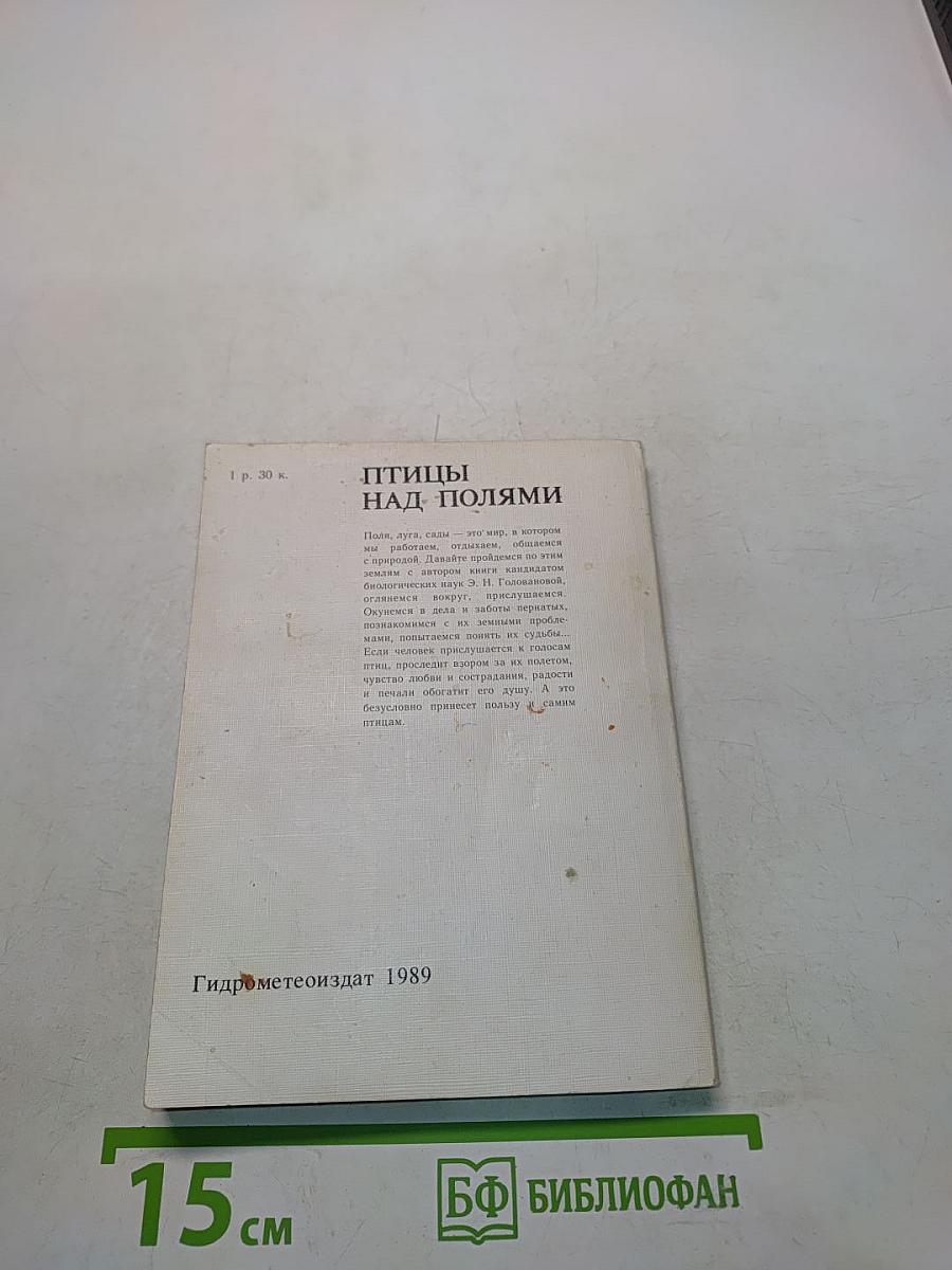Птицы над полями