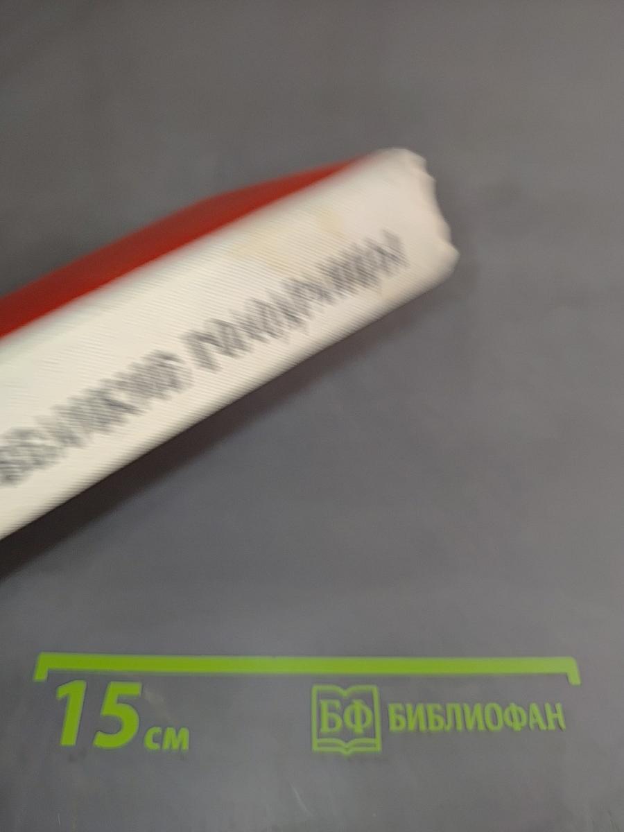 Великие голодранцы