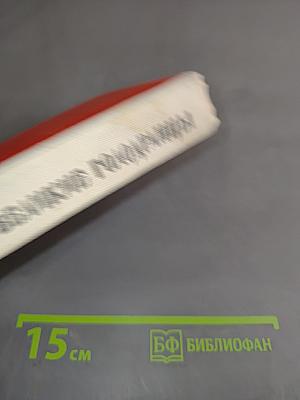 Великие голодранцы