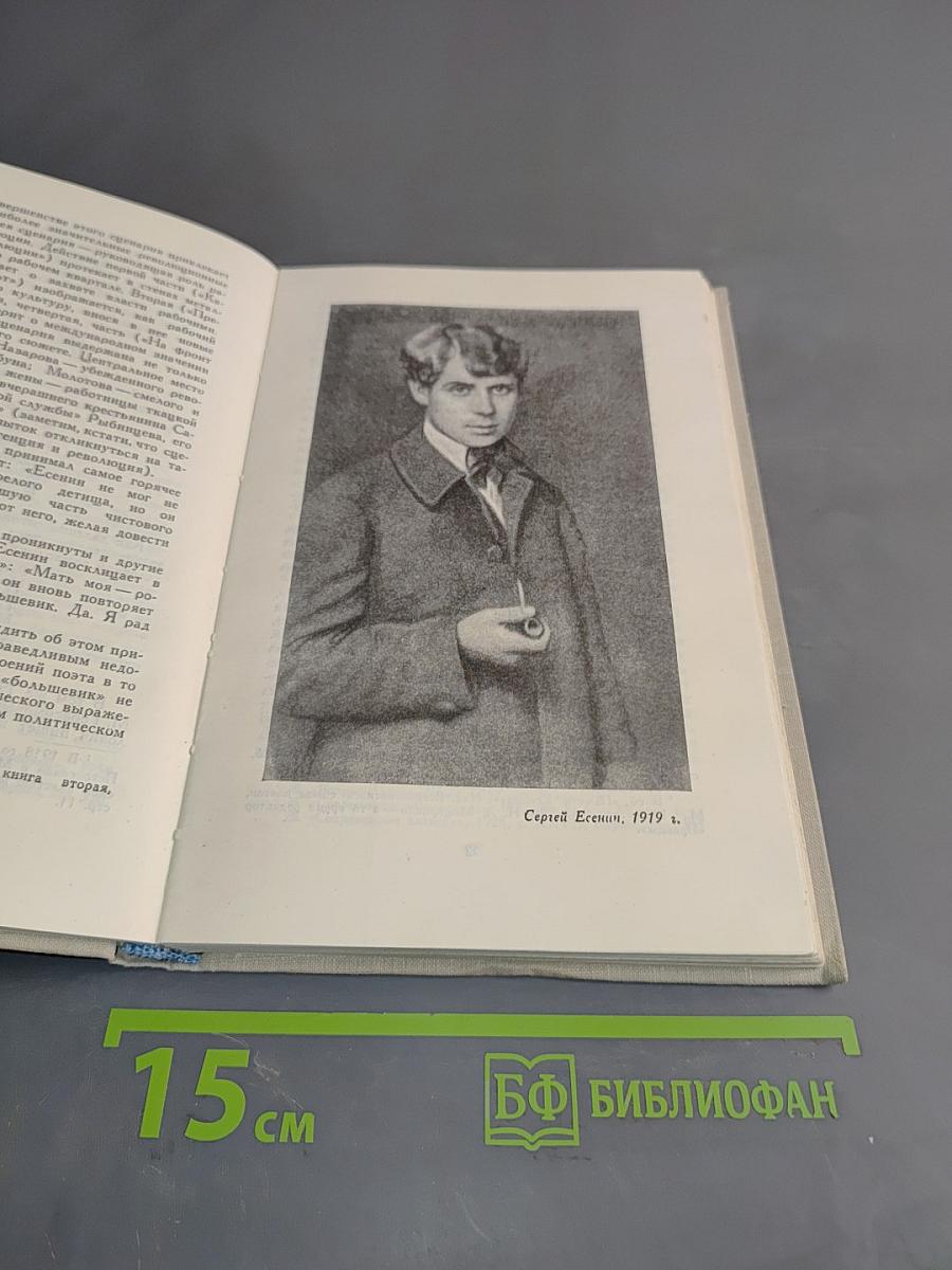 Сергей Есенин: Жизнь и творчество