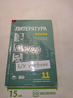 Литература. Практикум. 11 класс