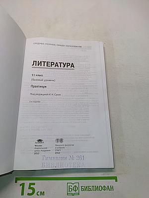 Литература. Практикум. 11 класс