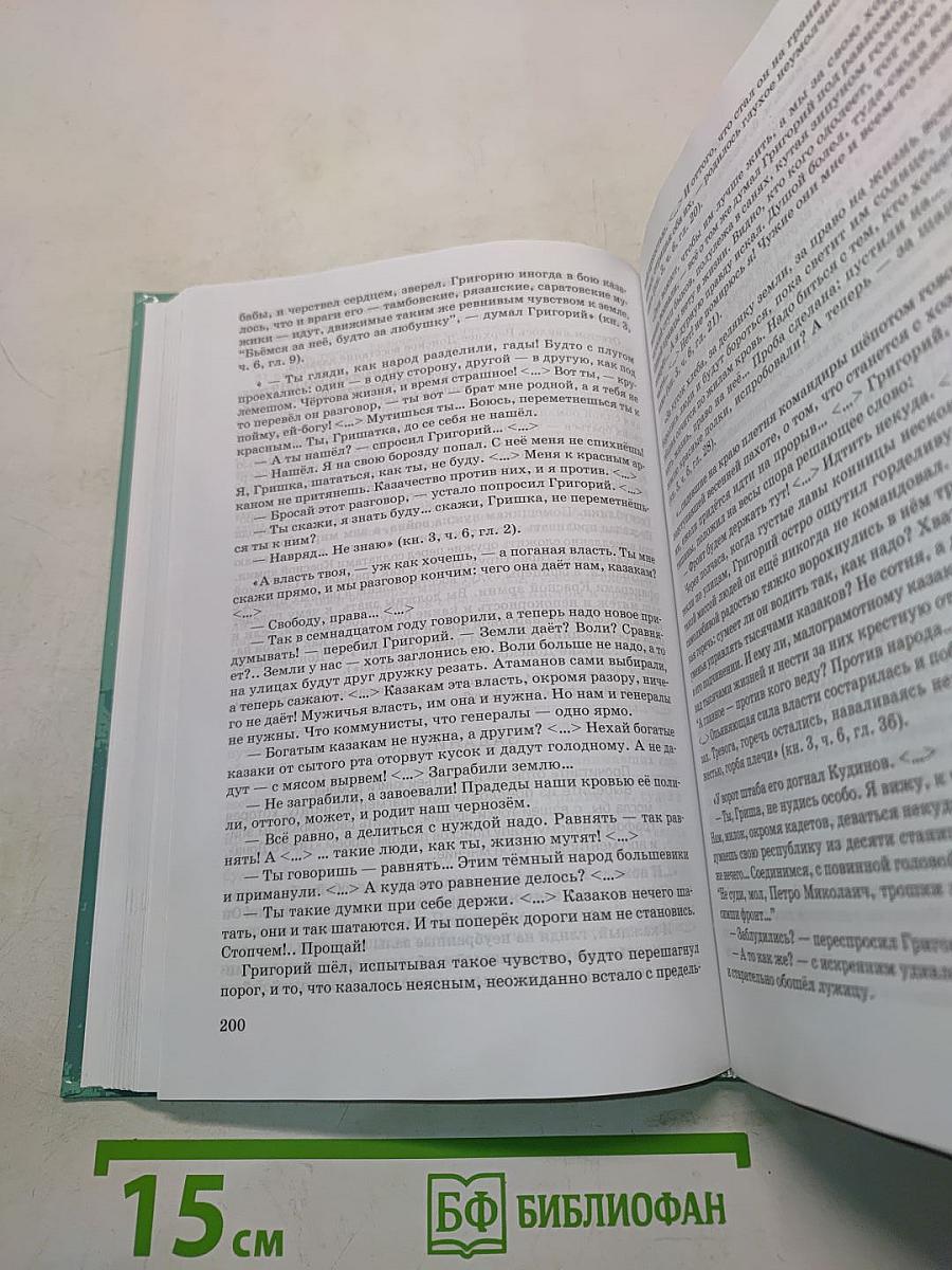 Литература. Практикум. 11 класс