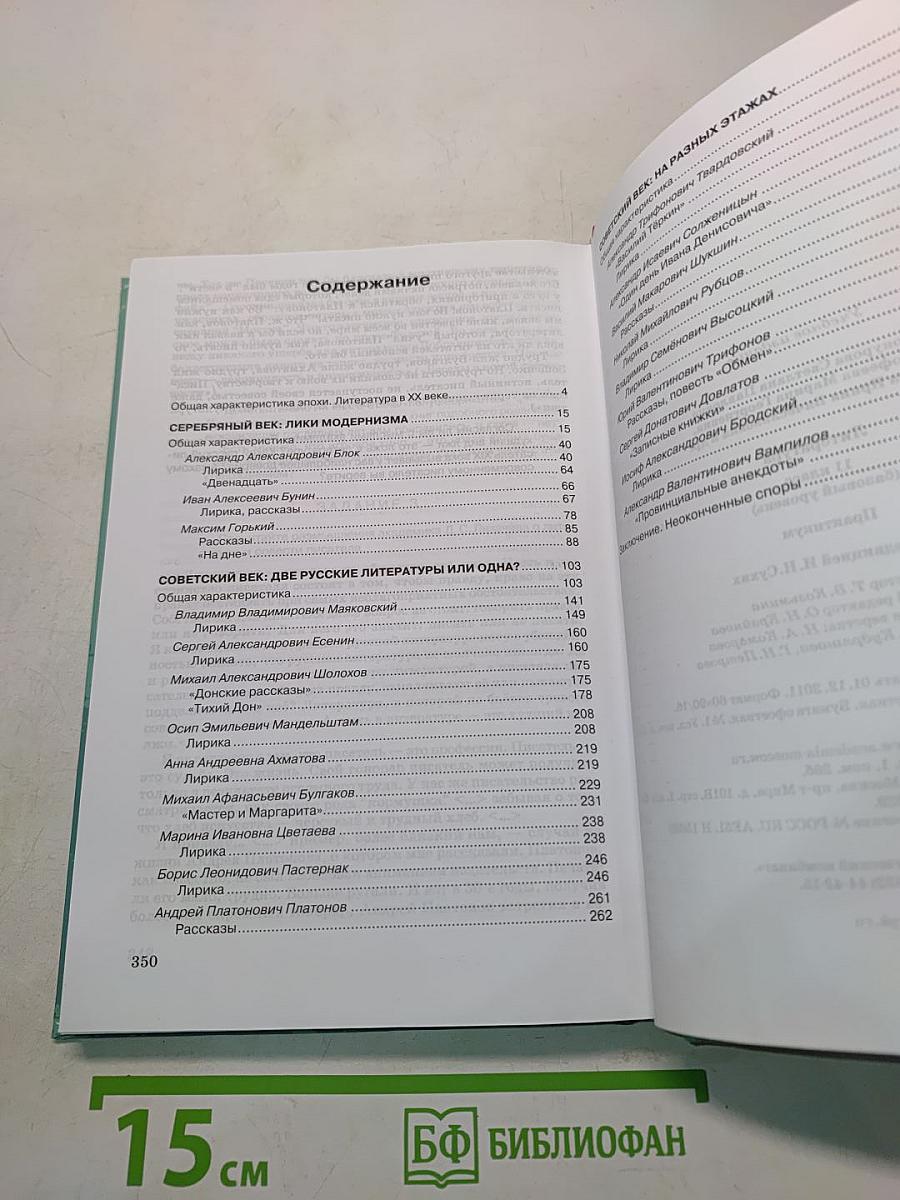 Литература. Практикум. 11 класс