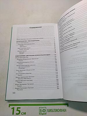 Литература. Практикум. 11 класс