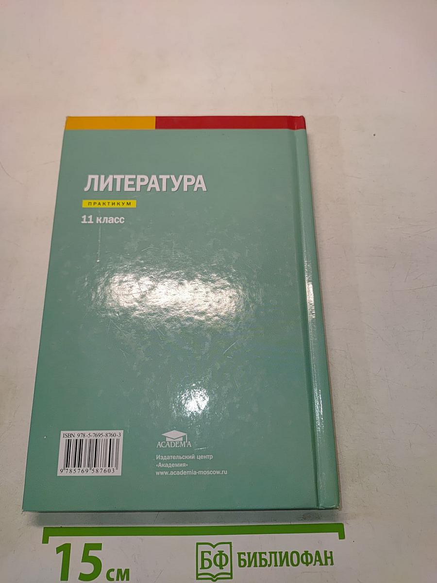 Литература. Практикум. 11 класс