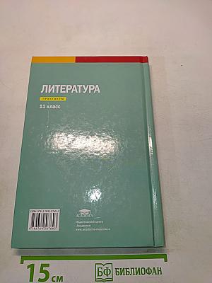 Литература. Практикум. 11 класс