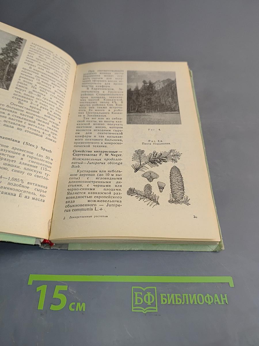 Лекарственные растения и их применение