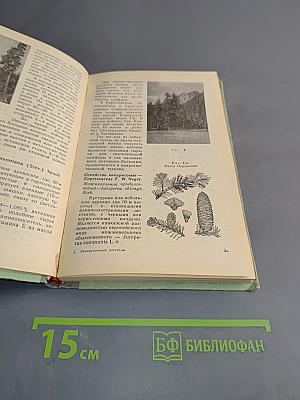 Лекарственные растения и их применение