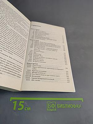 Лейденская красавица