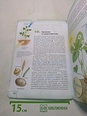 Биология. Учебник. 6 класс