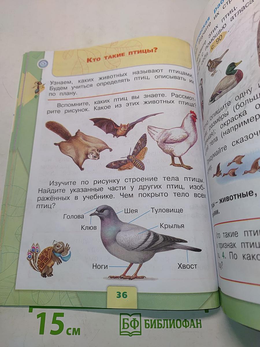 Окружающий мир. Учебник для общеобразовательных организаций. 1 класс. В двух частях. Часть 1