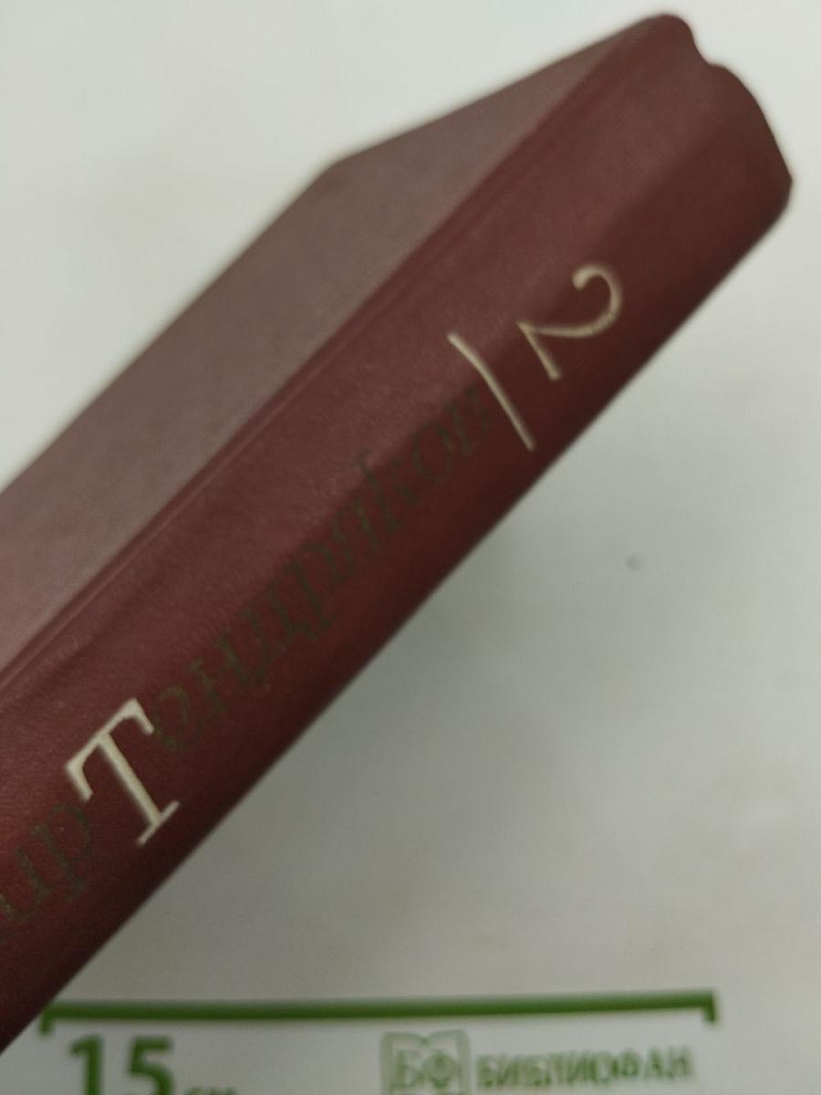 Собрание сочинений. Том 2. Романы