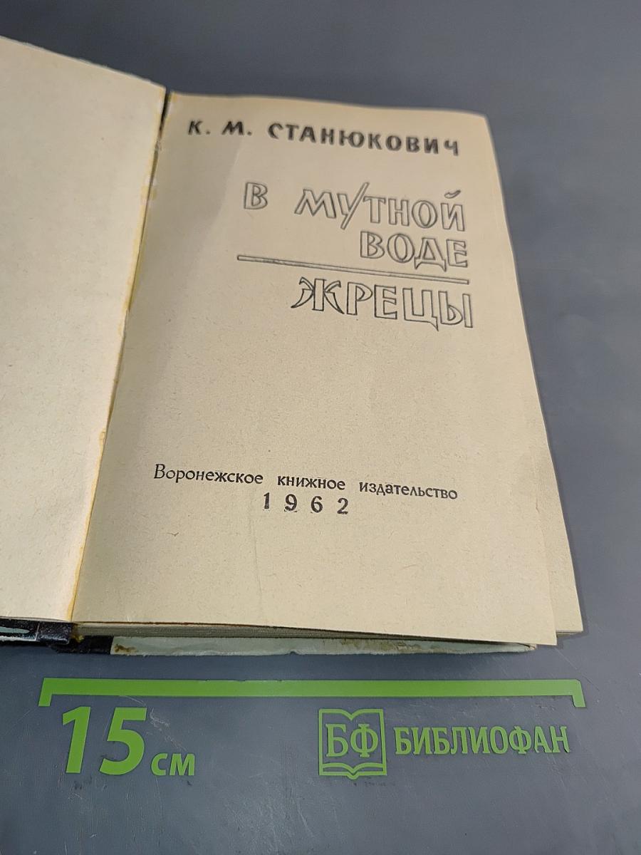 В мутной воде. Жрецы