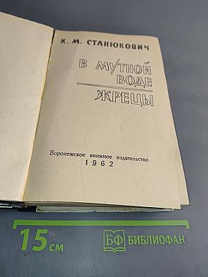 В мутной воде. Жрецы