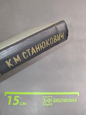 В мутной воде. Жрецы