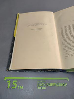 Человек из ресторана