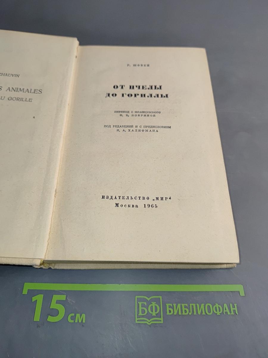 От пчелы до гориллы