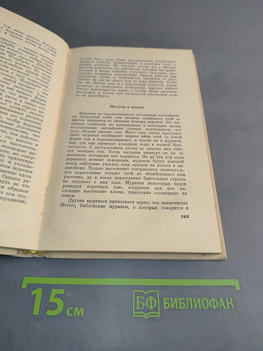 От пчелы до гориллы