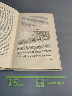 От пчелы до гориллы