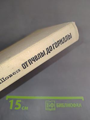 От пчелы до гориллы