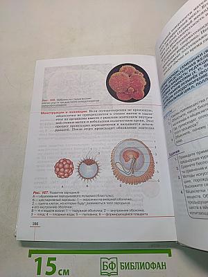 Биология. Человек. Учебник для 8 класса