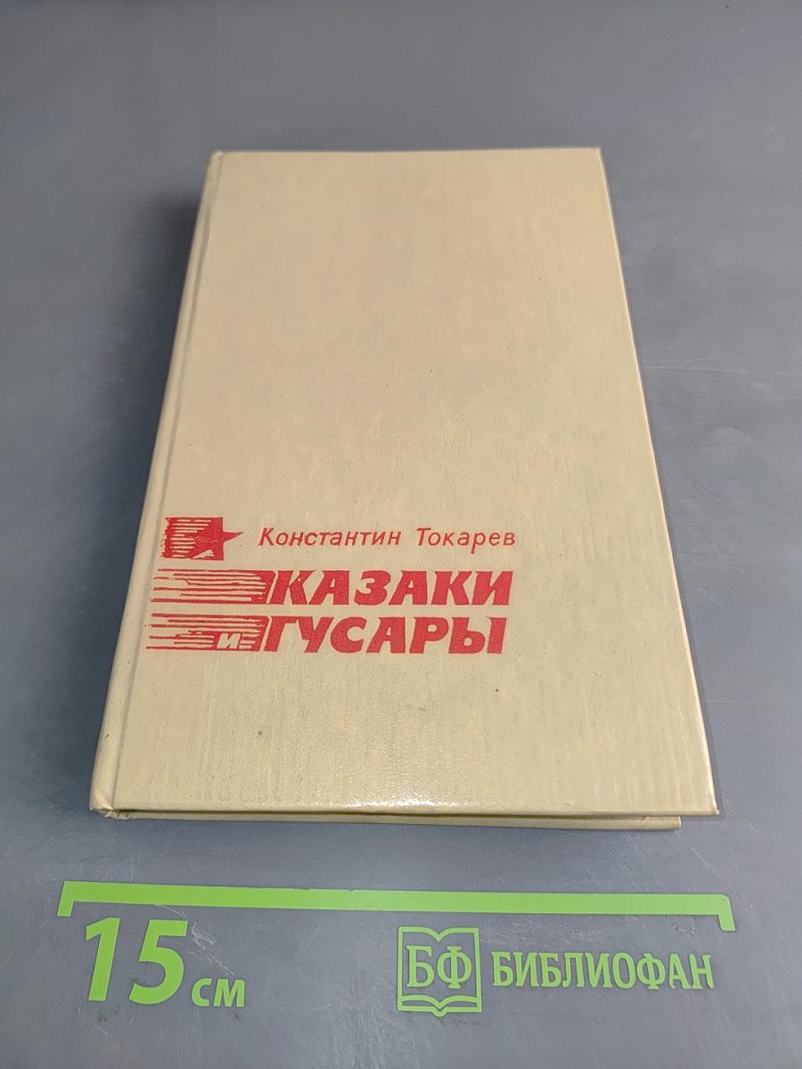 Казаки и гусары