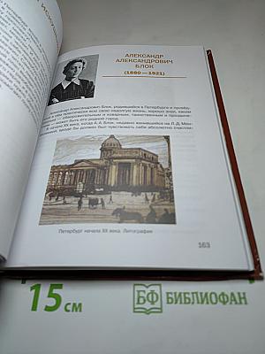 Литература. Учебник для 8 класса. Часть 2
