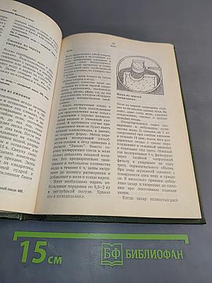 Домашнее консервирование фруктов, ягод и овощей