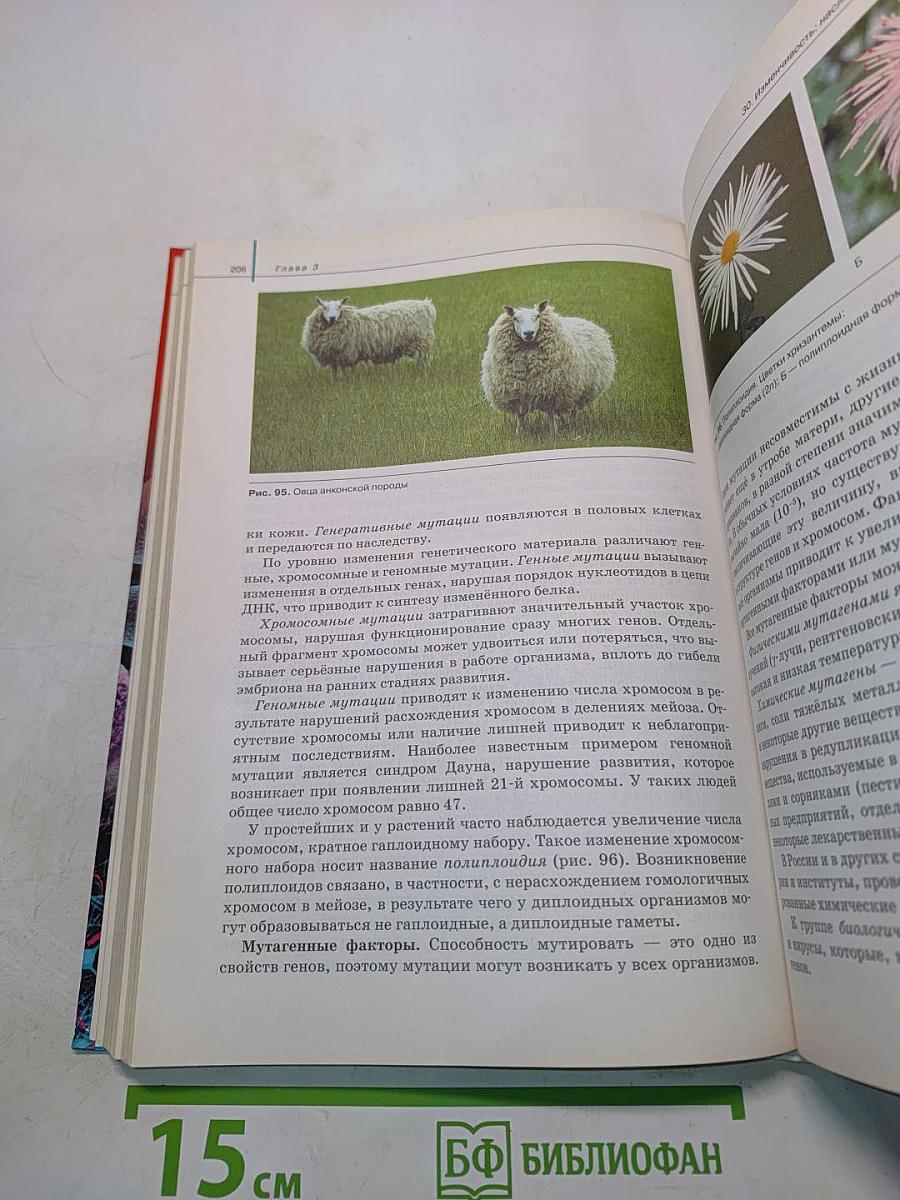 Биология. Общая биология. 10 класс. Базовый уровень
