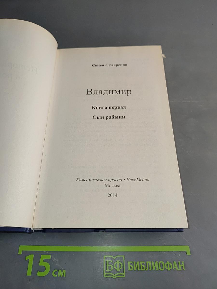Владимир. Сын рабыни. Книга первая