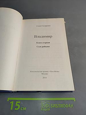 Владимир. Сын рабыни. Книга первая