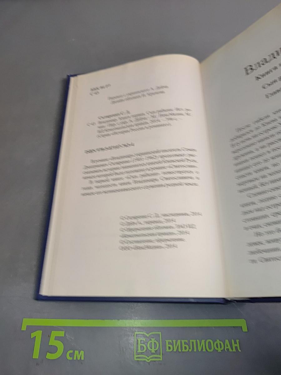 Владимир. Сын рабыни. Книга первая