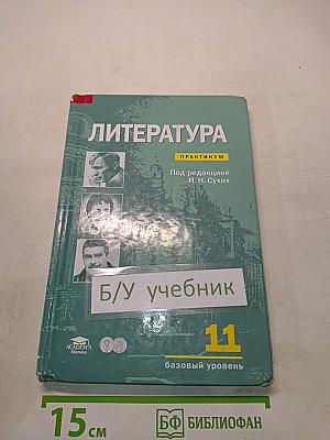 Литература. Практикум. 11 класс (базовый уровень)