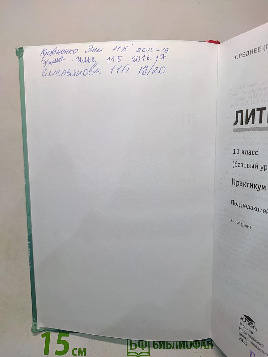 Литература. Практикум. 11 класс (базовый уровень)