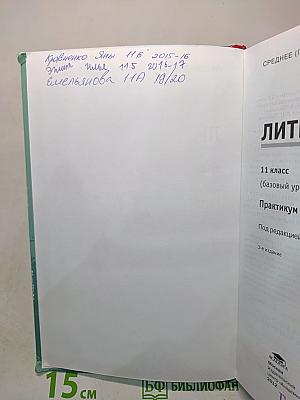 Литература. Практикум. 11 класс (базовый уровень)