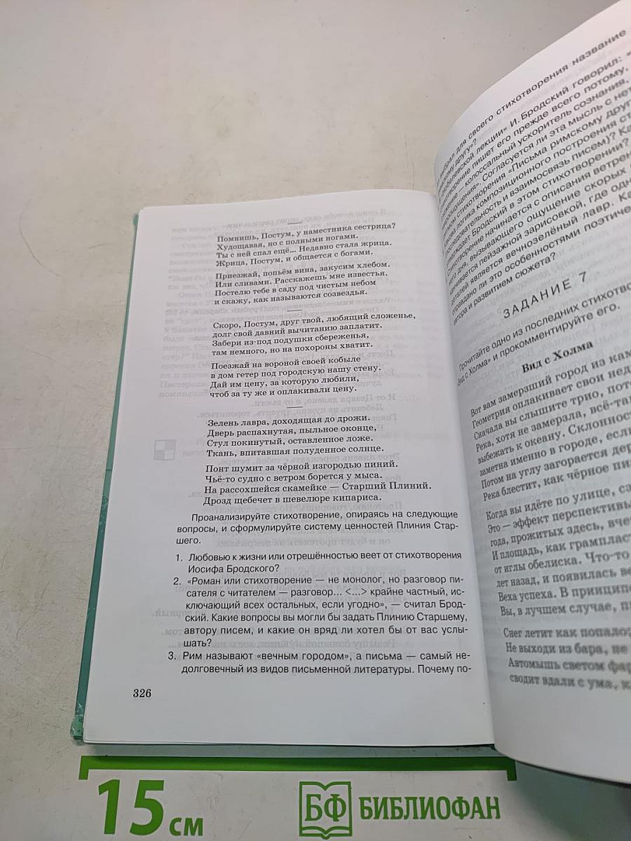 Литература. Практикум. 11 класс (базовый уровень)