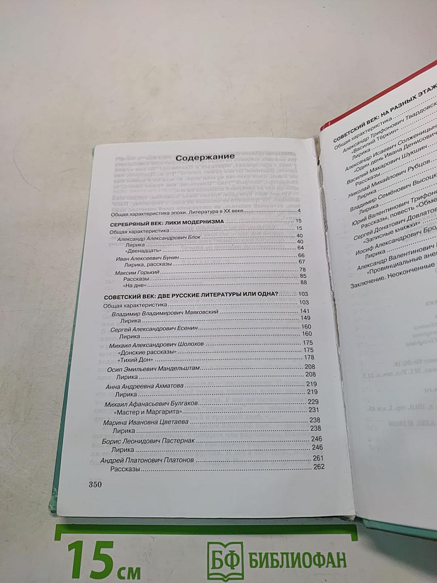 Литература. Практикум. 11 класс (базовый уровень)