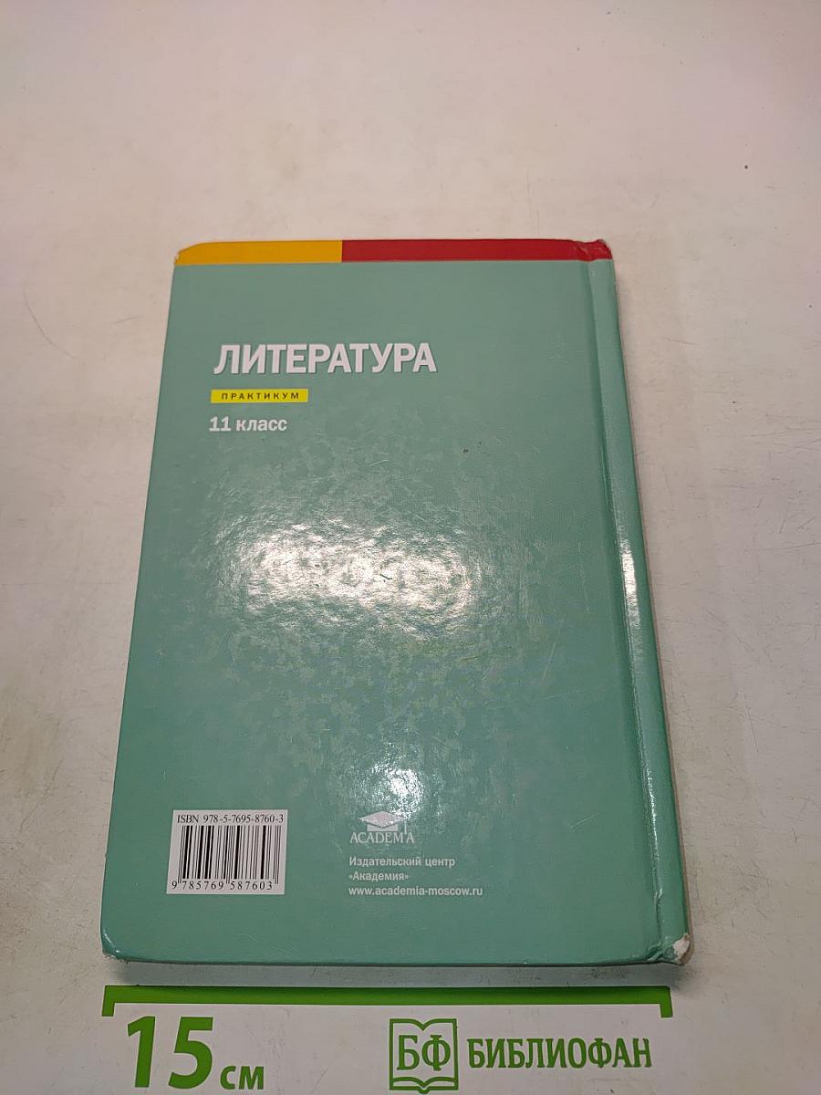 Литература. Практикум. 11 класс (базовый уровень)