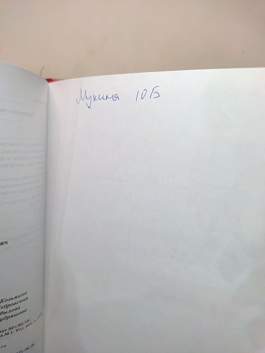 Литература. Учебник для 10 класса. В двух частях. Часть 2