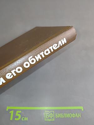 Террариум и его обитатели