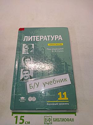 Литература. Практикум. 11 класс (базовый уровень)