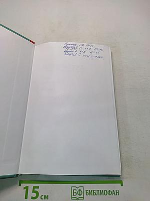Литература. Практикум. 11 класс (базовый уровень)