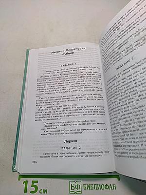 Литература. Практикум. 11 класс (базовый уровень)