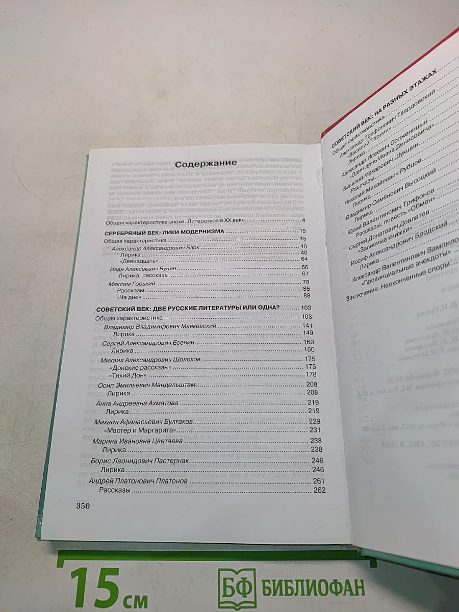 Литература. Практикум. 11 класс (базовый уровень)