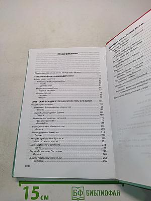 Литература. Практикум. 11 класс (базовый уровень)